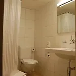 Schwanen Отель 3*