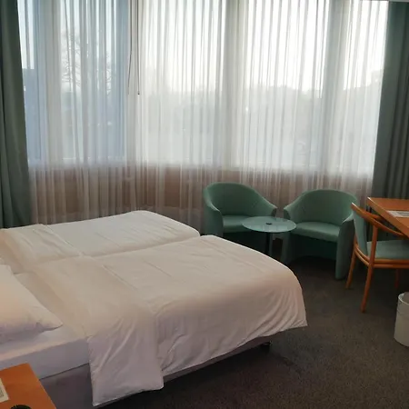 Schwanen Wil