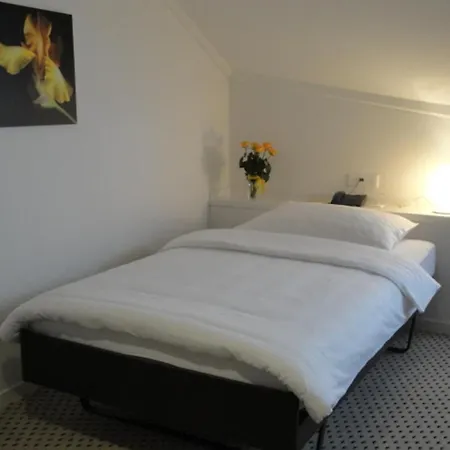 Hotel Schwanen