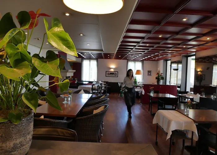 Hotel Schwanen Wil (St. Gallen)