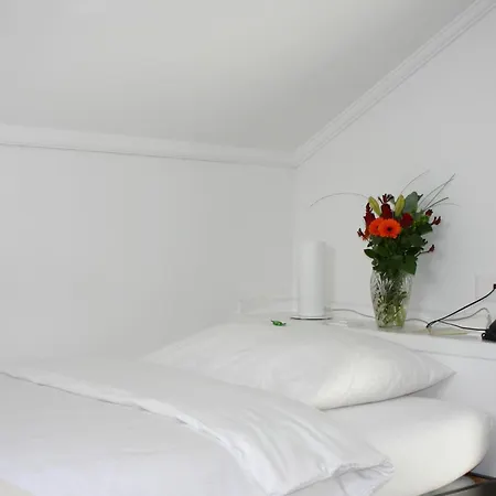 Schwanen 3*